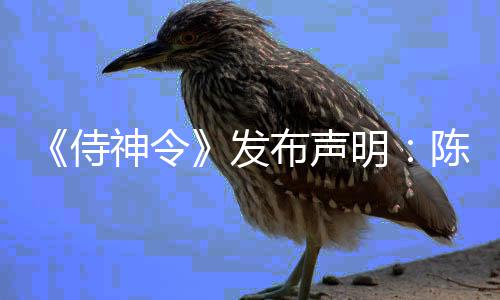 布声为电明发陈坤主角影唯一男侍神令